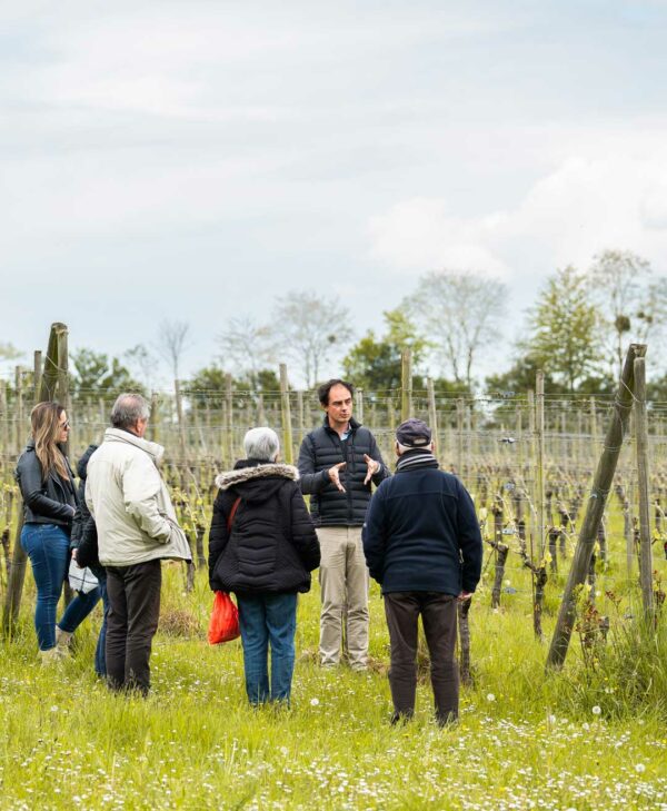 contact arpents du soleil domaine viticole normandie