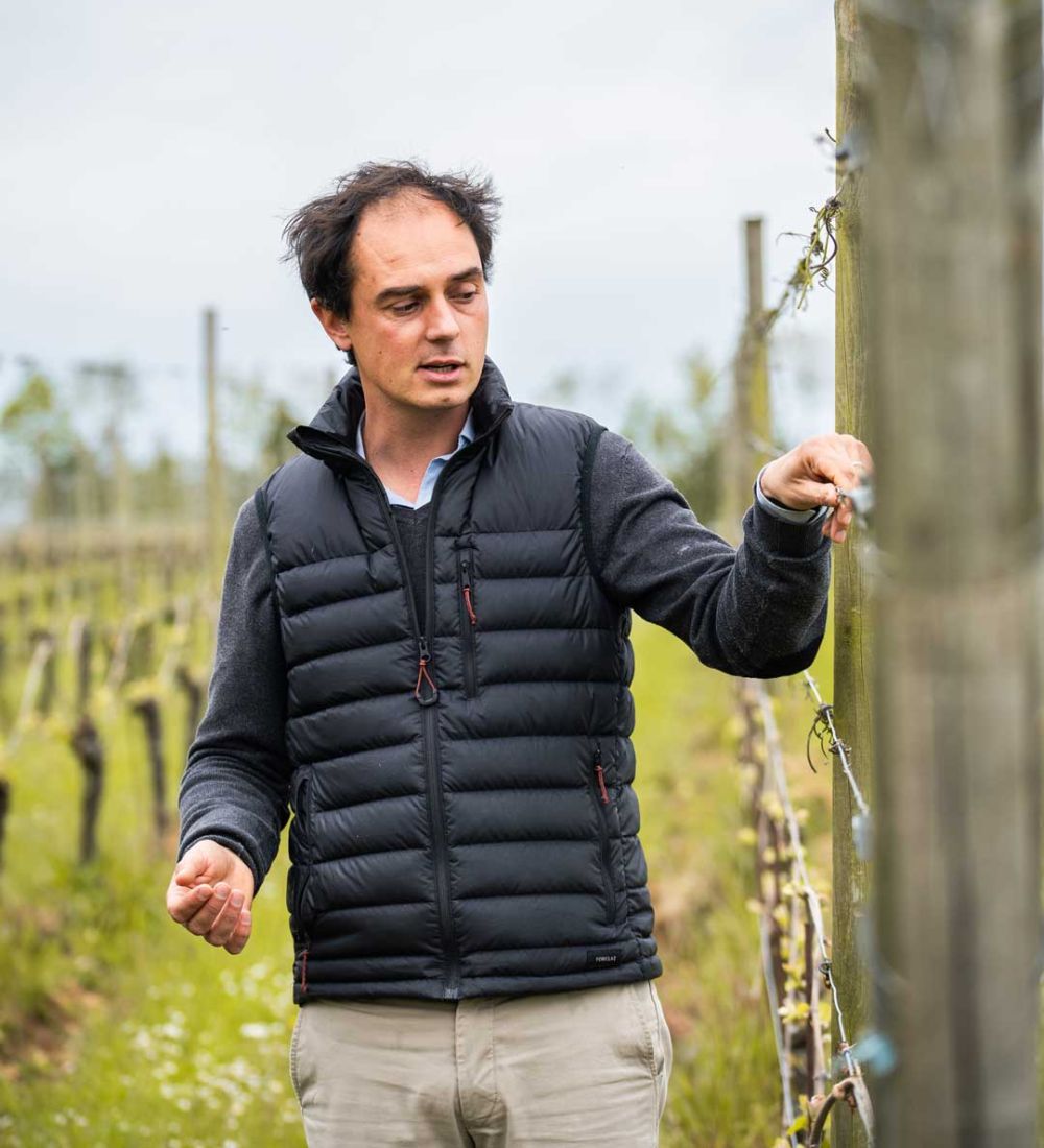 contact arpents du soleil domaine viticole normandie