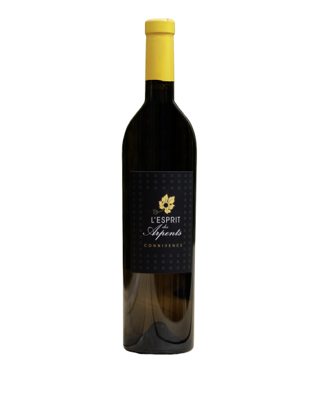 Connivence 75 Cl
