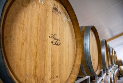 Vin de Normandie : découvrez l&rsquo;IGP Calvados et son terroir