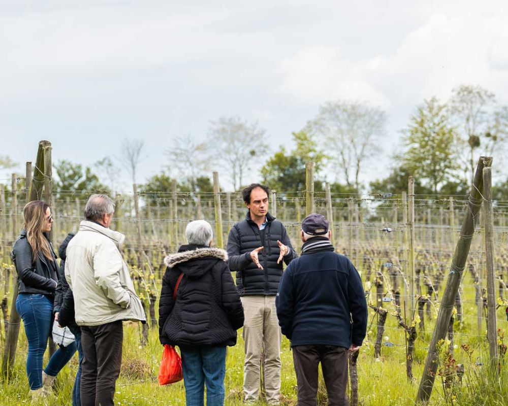 contact arpents du soleil domaine viticole normandie
