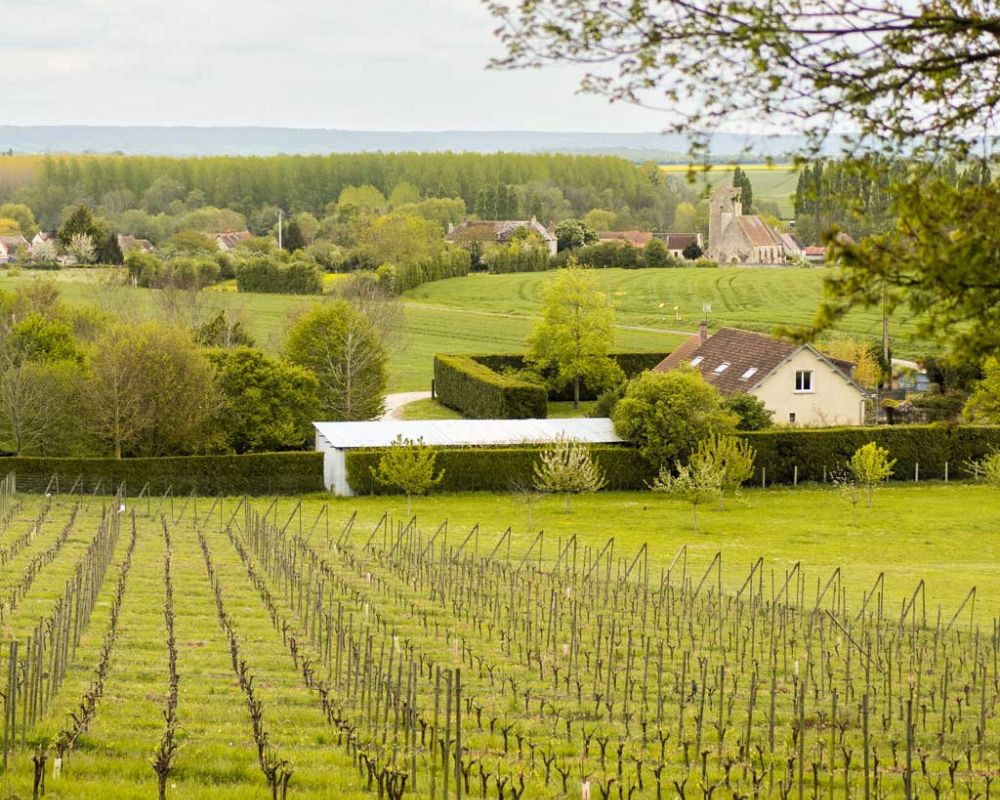 domaine les arpents du soleil