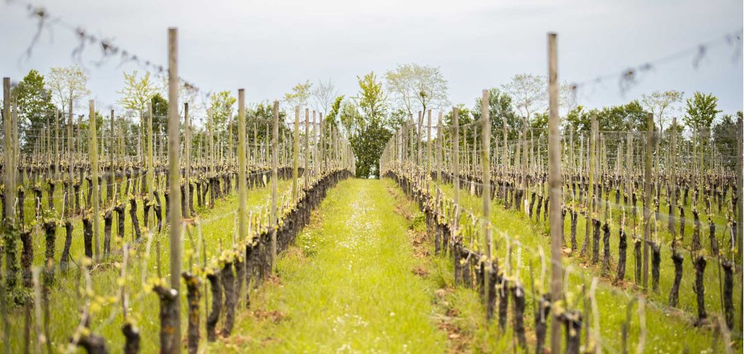 contact arpents du soleil domaine viticole normandie