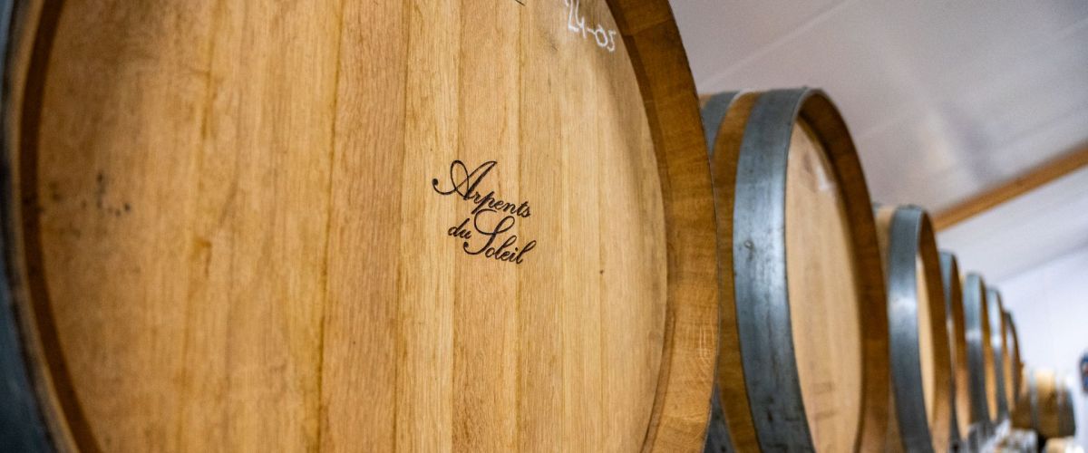 Vin de Normandie : découvrez l’IGP Calvados et son terroir