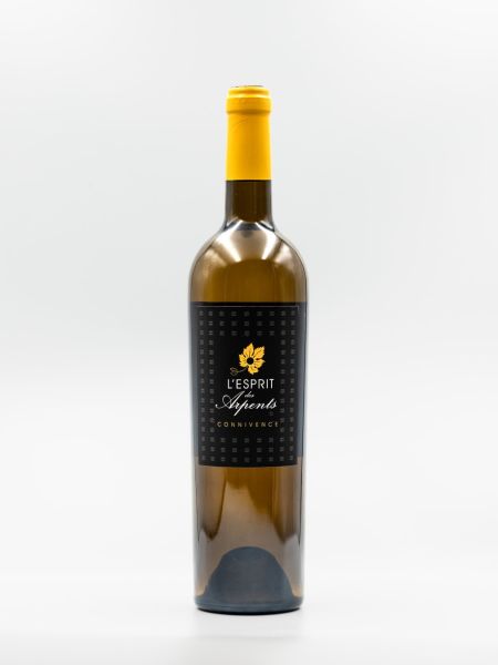 Connivence 75 Cl – Vin blanc