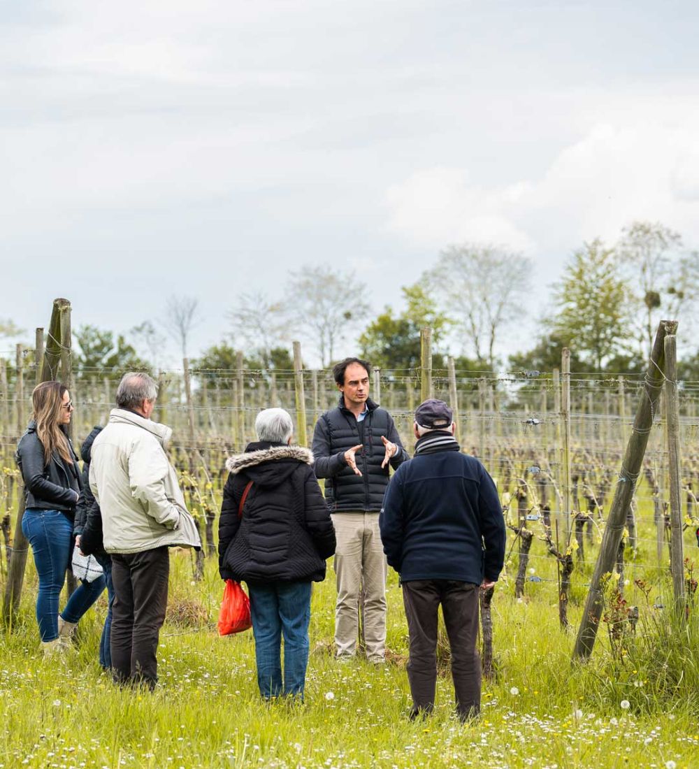 contact arpents du soleil domaine viticole normandie